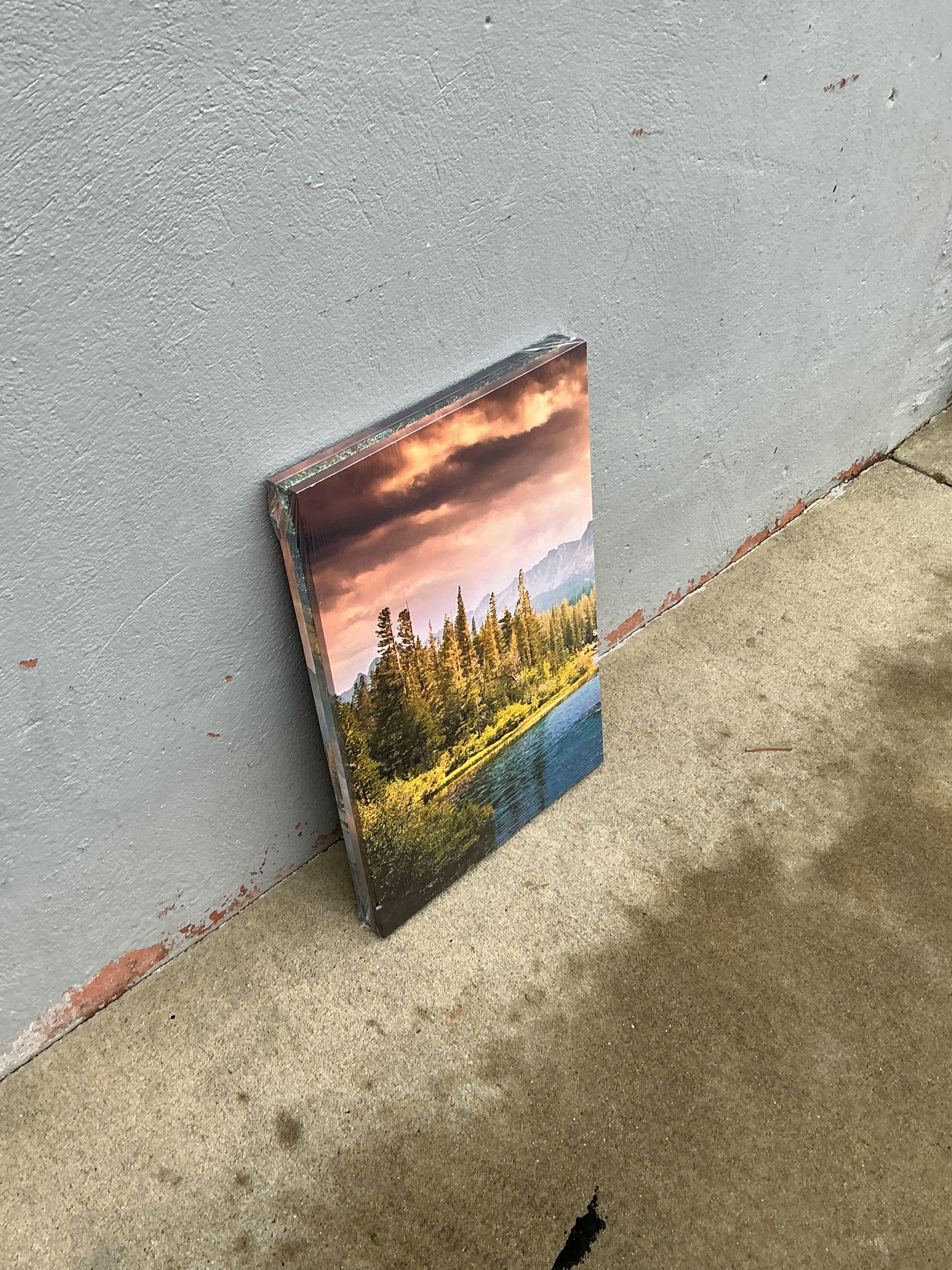 WALL ART (discounted)