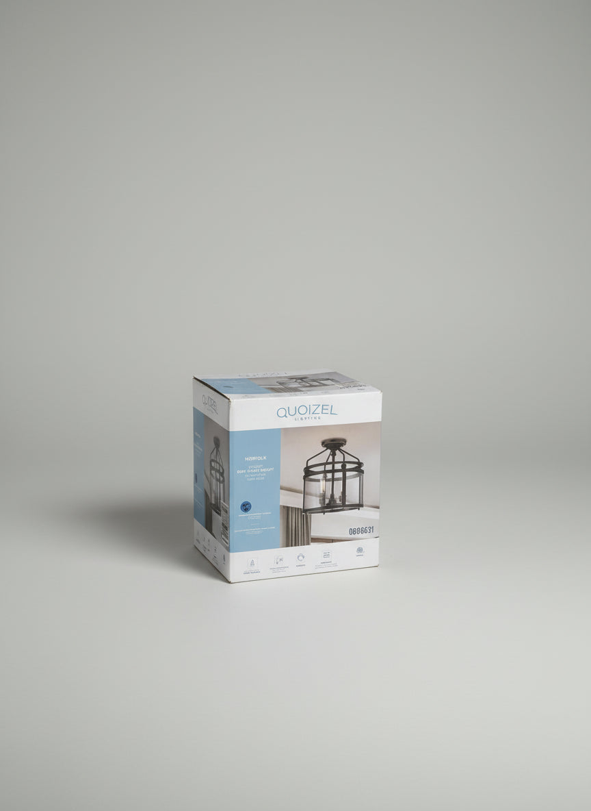 QUOIZEL 3 Light Fixture