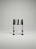 VEVOR Aluminum Telescopic Ladder