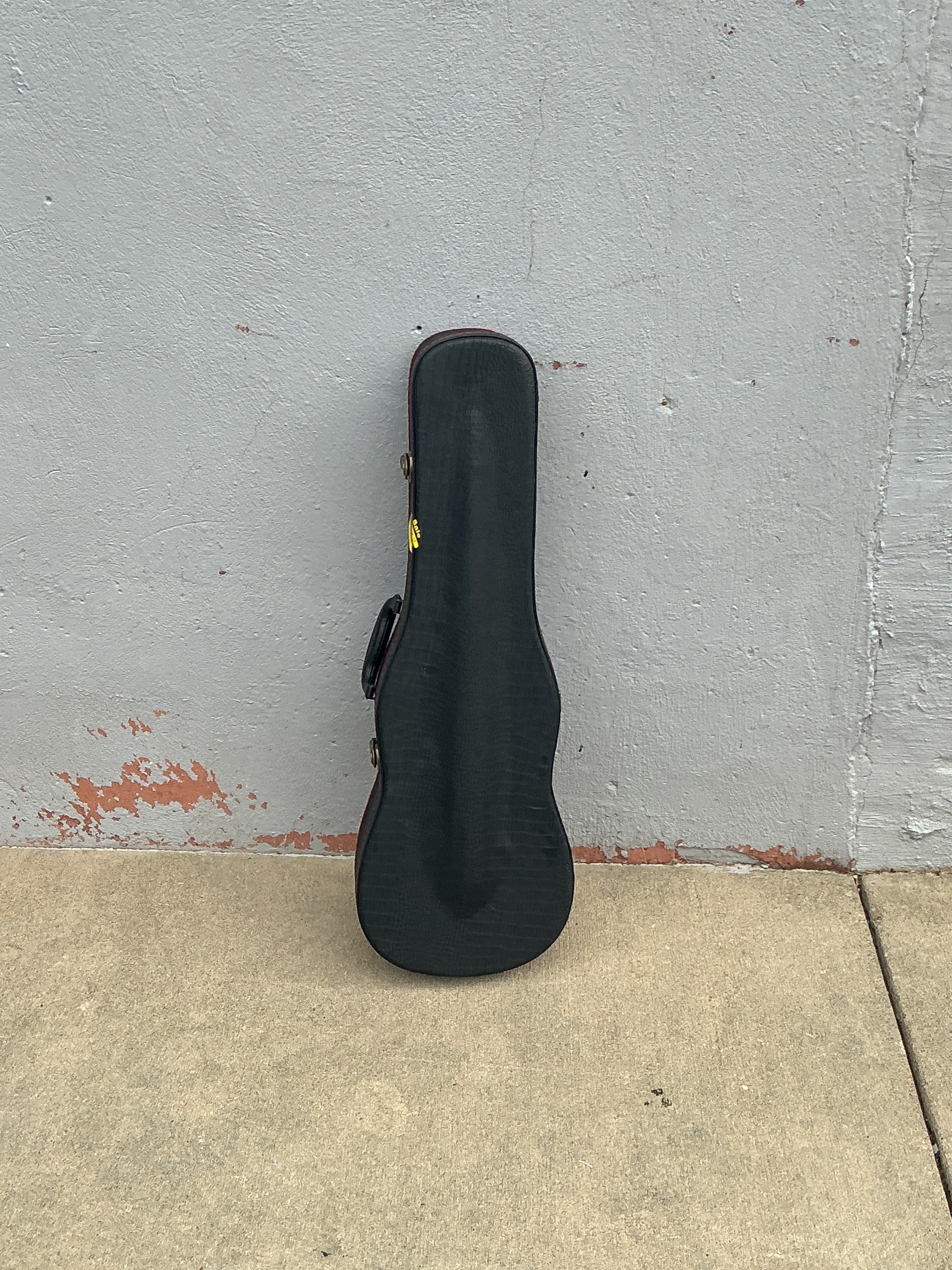 Violin Hard Case